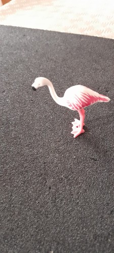 Animal oiseau flamant - ,