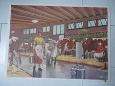 Tableau d'élocution : " A la