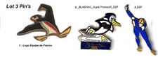 Sport d'Hiver_ Patinage sur