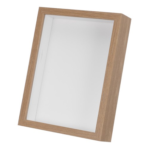 Vitrine murale pour insectes