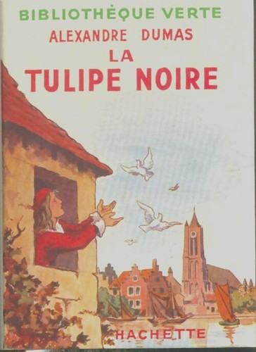 Tulipe noire alexandre - la,