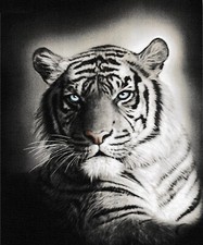 DRAP DE BAIN, SERVIETTE DE