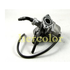 Carburateur 19mm Convient