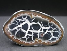 SEPTARIA - MAROC - 6,5 x 4 cm