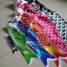 Chaussette à vent carpe