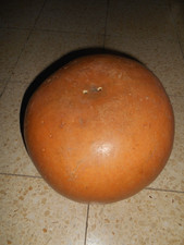 Calebasse tambour inaga - calebasse,