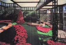 ETATS UNIS PINE MOUNTAIN JOHN