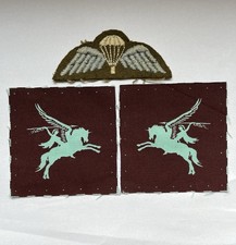 Insigne Brevet Parachutiste