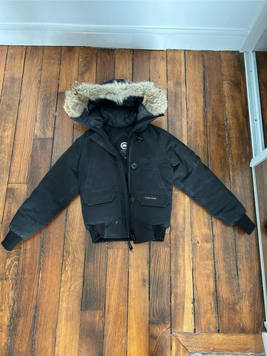 Canada goose - canada,