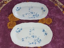 2 Raviers Porcelaine de