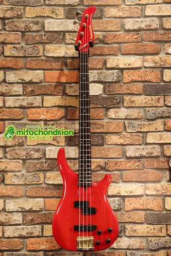 Fernandes 1990 frb see - frb-65, /