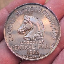 Rare et Superbe Medaille en