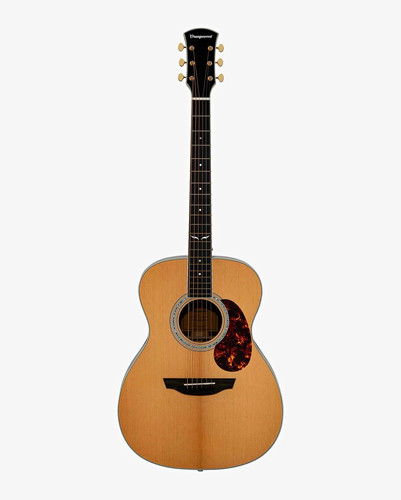 Bourgeois dreadnought acoustic - bourgeois,