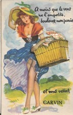 62 - carvin - multtivue humoristique