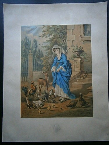 Gravure couleur in folio - 19°,