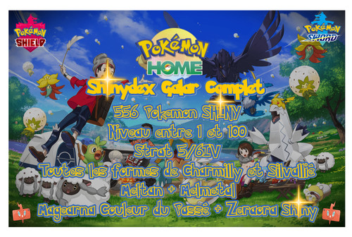 Pokémon epée bouclier 8g - pokémon,