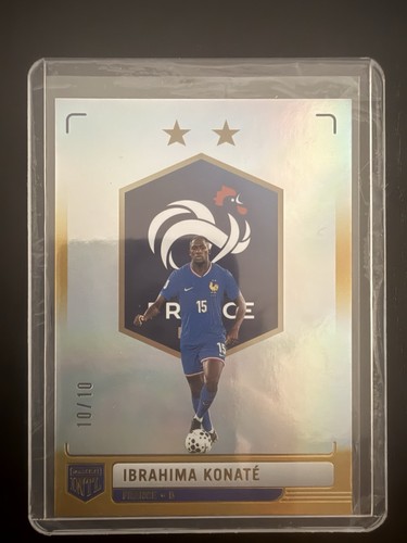 Panini france international - france,