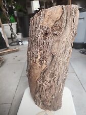 Bois d'olivier Provence N°X12 lot 1 rondin / tronc 10kg900 sculpture tournage 