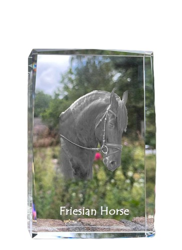 Cheval frison cristal avec - , un