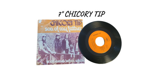 Disque tours vinyle - disque, chicory