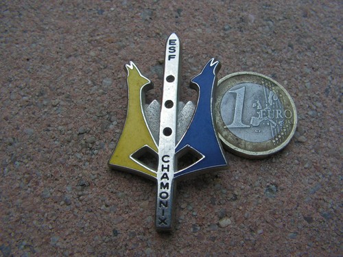 Insigne ski esf - ski,