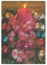 2001 Chris Nikolson Photo