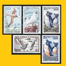 5 OISEAUX TERRES AUSTRALES