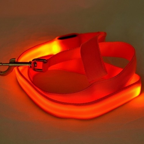 Laisse leds 120cm orange - laisse,