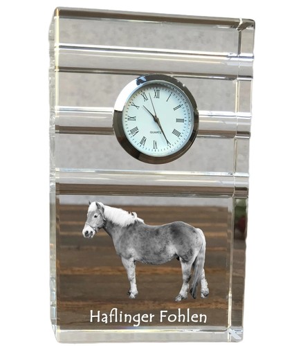 Haflinger fohlen horloge - fohlen, à