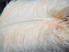 Solde Qualité Champagne