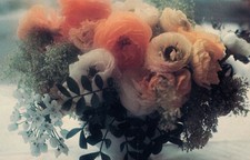 Cartes autographe signées à la main par DAVID HAMILTON