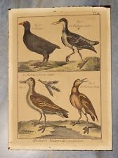 Bernard DIREXIT (XVIIIème)