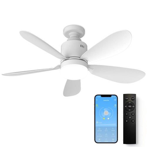 Ventilateur plafond avec - ventilateur, de