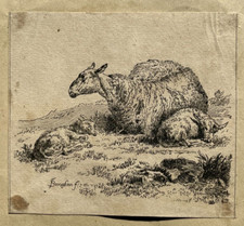 Brebis couchee Agneaux GRAVURE Eau Forte NICOLAES BERCHEM XVII°