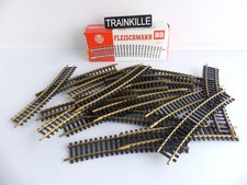 6031 FLEISCHMANN HO LAITON 20