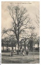 CAR-ADPP13-0881-89 - CUY - La place et l'arbre de la liberté