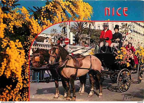 Carte postale animaux - carte,