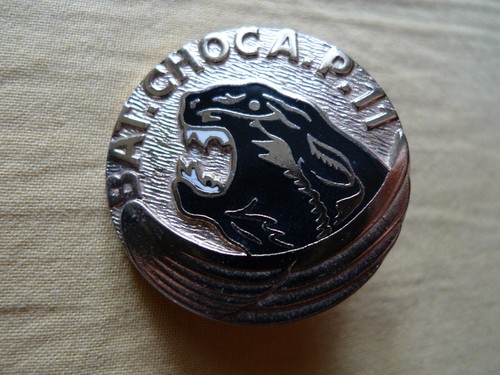 Insigne bataillon choc - du,