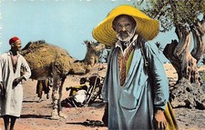 Tunisie - DJERBA - Scènes et paysages - Ed. Gaston Lévy 868