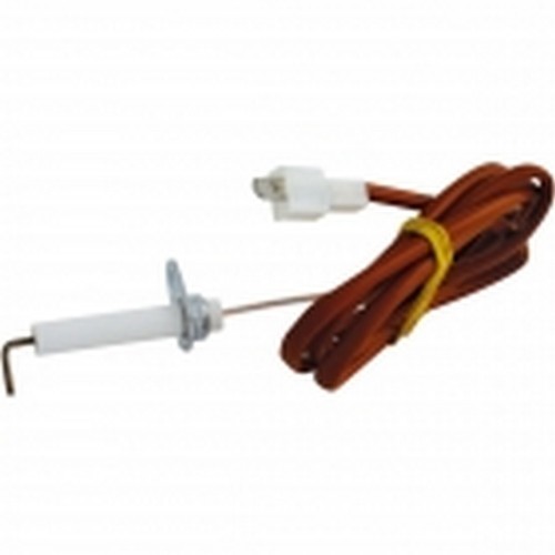 Electrode ionisation