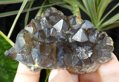 Plaque quartz fumé - fumé, riom