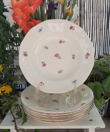 Assiettes creuses - 6,