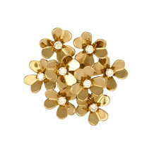 VAN CLEEF & ARPELS -