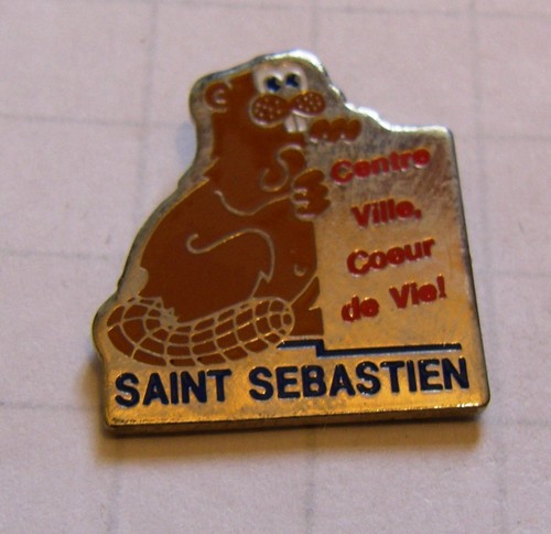 Pin saint sebastien - sebastien, ville