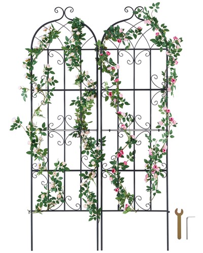 Treillis jardin pour plante