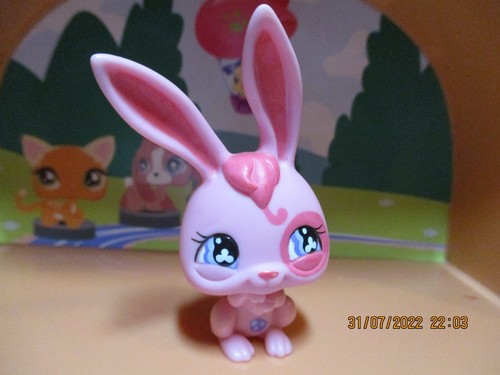 Petshop lapin 500 - petshop, #500