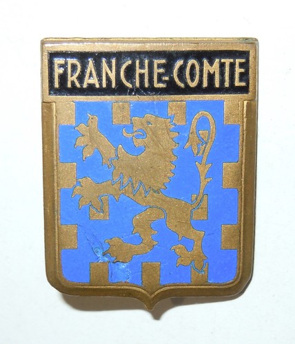 Insigne escadron transport - insigne,