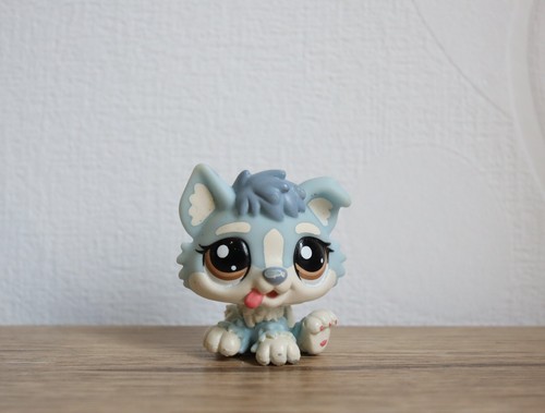 Littlest petshop husky 1683 - petshop,