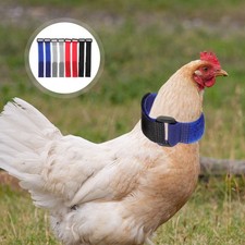  Collier Anti-chant de poulet