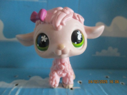 Petshop mouton 585 - petshop,